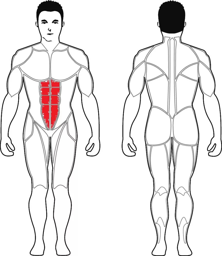 Área de entrenamiento de la máquina Contracción Abdominal Crunch de Steelflex