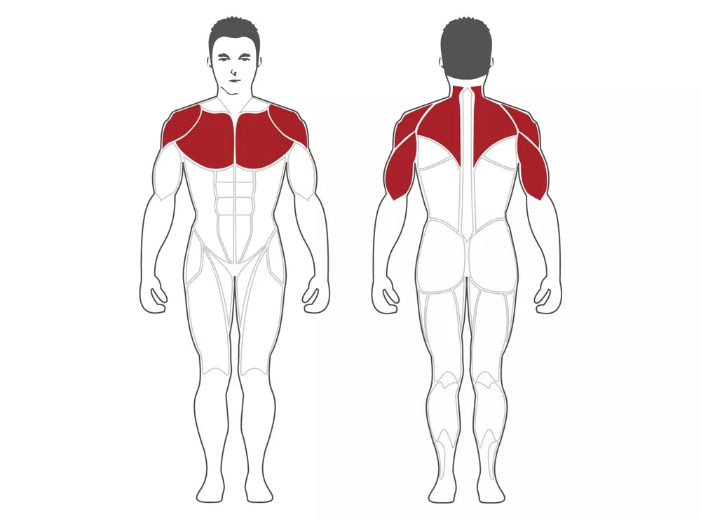 Prensa de hombros inclinada Serie 2 PL2100-BR Steelflex