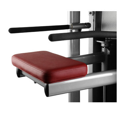 Asiento de la Máquina de Dominadas y Fondos BH TR Series