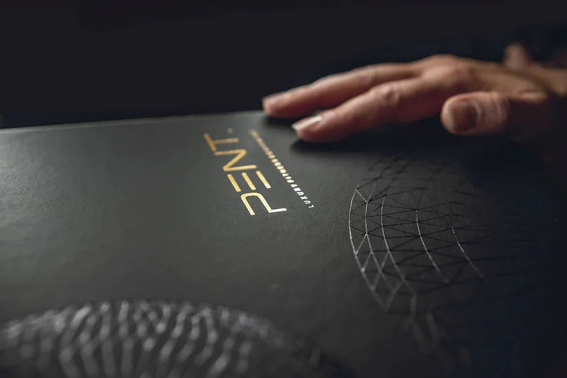 Guantes de boxeo de lujo hechos a mano Pent fitness RAXA™