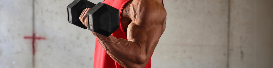 5 Ejercicios Efectivos para Bíceps con Mancuernas: Rutinas para Fortalecer y Tonificar