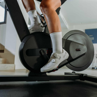 ZBike Infinity (Piñón libre) Zycle