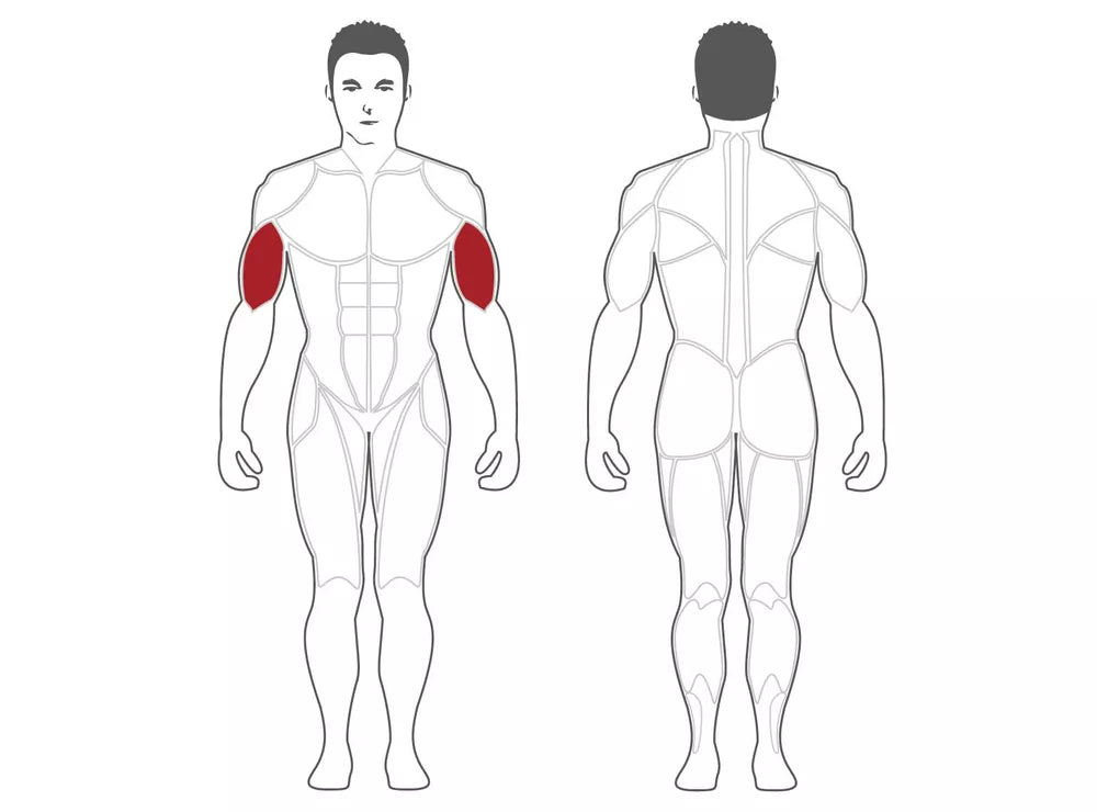 área de entrenamiento del Curl de bíceps con carga de placa Steelflex