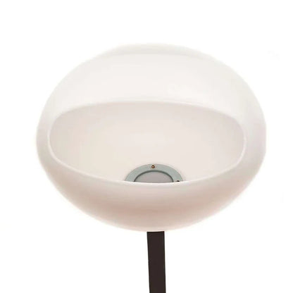 Magnesera Singularwod