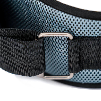 Cinturón de musculación Evergy