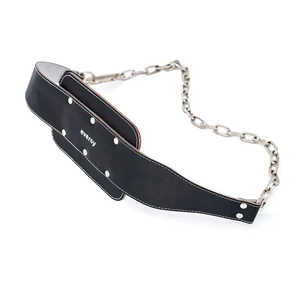 CINTURON DE LASTRE EVERGY