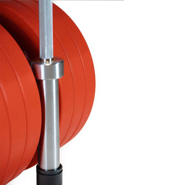 Soporte discos bumper/barras vertical Evergy