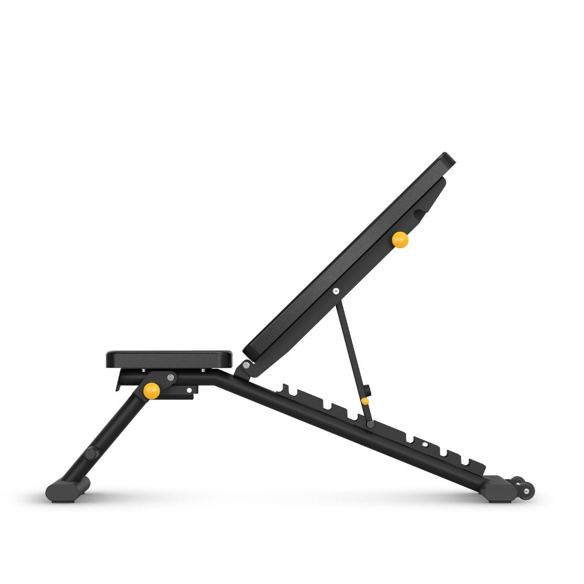 Banco plegable HBN30 - Horizon Fitness