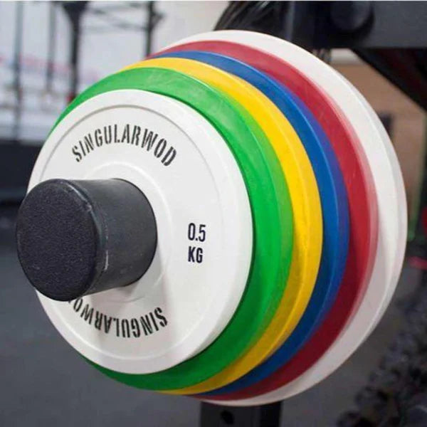 Soporte de discos para estantería (par) Singularwod