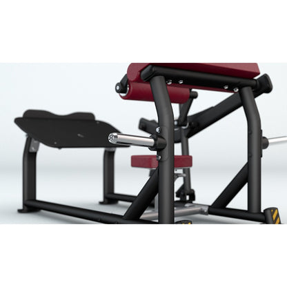 BH PL Series Multi-Hip Machine