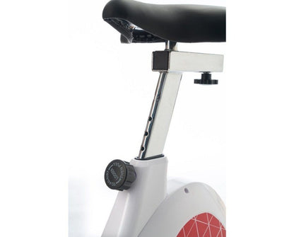 Bicicleta Ronda PT-1970 Salter