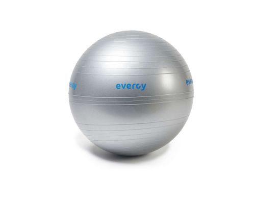 Gymball Evergy 65cm home- Sportech Fitness